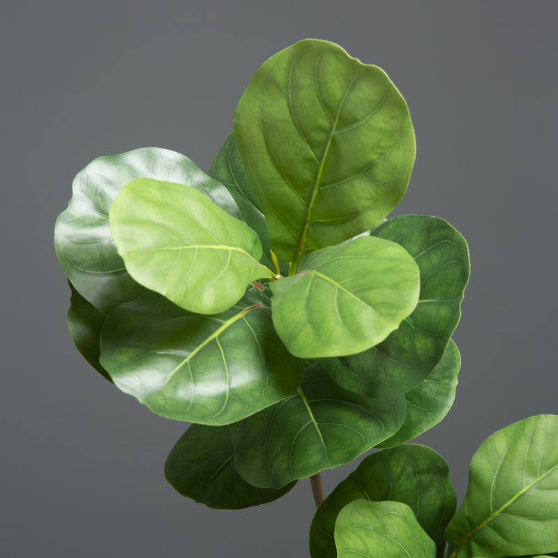 163666-lptyts.jpg Branche de Ficus Lyrata artificielle, grandes feuilles, 103 cm – Image 3