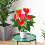 Plante anthurium artificielle, langue de feu, couleur vive, 53 cm – Image 4