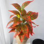 Plante artificielle, croton, arbuste de 26 feuilles, 75 cm – Image 3