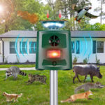 Répulsif solaire ultrasonique pour animaux, étanche, dissuasif, 8 à 10 m – Image 5