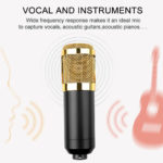 Microphone à condensateur pour studio, radio et broadcasting – Image 8