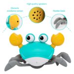 Crabe rompant, jouet pour bébé, attrape-moi avec musique, multisensoriel, éducatif et interactif – Image 4
