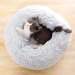 Lit coussin en peluche pour animaux, chat et chien, doux et confortable