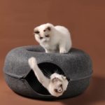 Niche tunnel en feutre pour chat, demi-fermé, chenil d'entraînement intérieur – Image 3