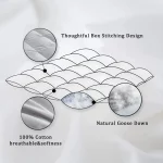 Duvet en plumes d'oie, couverture en duvet blanc, 100% coton égyptien, 4 saisons – Image 11