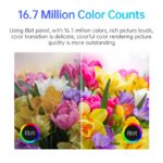 Moniteur portable 16″, écran IPS tactile, Ultrawide, 1920x1200, 16:10, 3ms, Mini HDMI, USB Type-C – Image 5