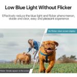 Moniteur portable 16″, écran IPS tactile, Ultrawide, 1920x1200, 16:10, 3ms, Mini HDMI, USB Type-C – Image 6