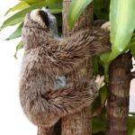 Peluche de paresseux, réaliste et douce, 35 cm – Image 2