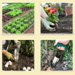 Planteuse en métal, bulbes, graines, outil de plantation avec marquage de profondeur – Image 3