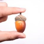 Lot de 20 glands artificiels, fruit du chêne réaliste, pour décoration – Image 2