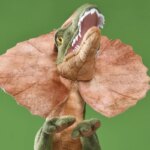 Lot de 2 peluches réalistes, dinosaure Dilophosaurus, Jurassic Park, 50 cm – Image 5