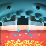 Oreiller de massage des cervicales, impulsions électriques, chauffant et vibration, rechargeable – Image 4