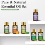 Ensemble de 6 huiles essentielles avec diffuseur d'aromathérapie de 120 ml – Image 3