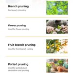 Sécateur de jardin professionnel 21 cm, lame en acier carbone trempé, coupe 10 mm, poignée confort en PVC, idéal pour arbres fruitiers et bonsaïs – Image 5