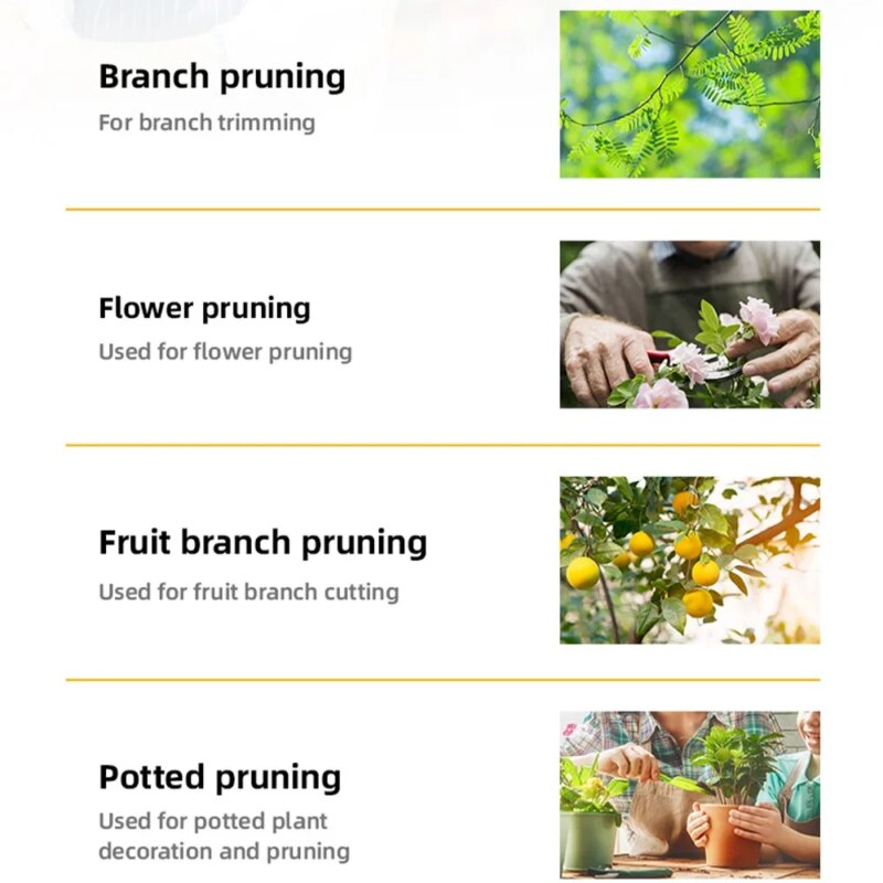 Sécateur de jardin professionnel 21 cm, lame en acier carbone trempé, coupe 10 mm, poignée confort en PVC, idéal pour arbres fruitiers et bonsaïs – Image 5