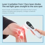 Appareil de thérapie laser rouge & infrarouge LD172, Soulagement douleur 650nm/808nm, Portable, Rechargeable, 17 LEDs – Image 2
