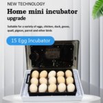 Mini incubateur automatique 15 œufs avec contrôle numérique de température – Image 3