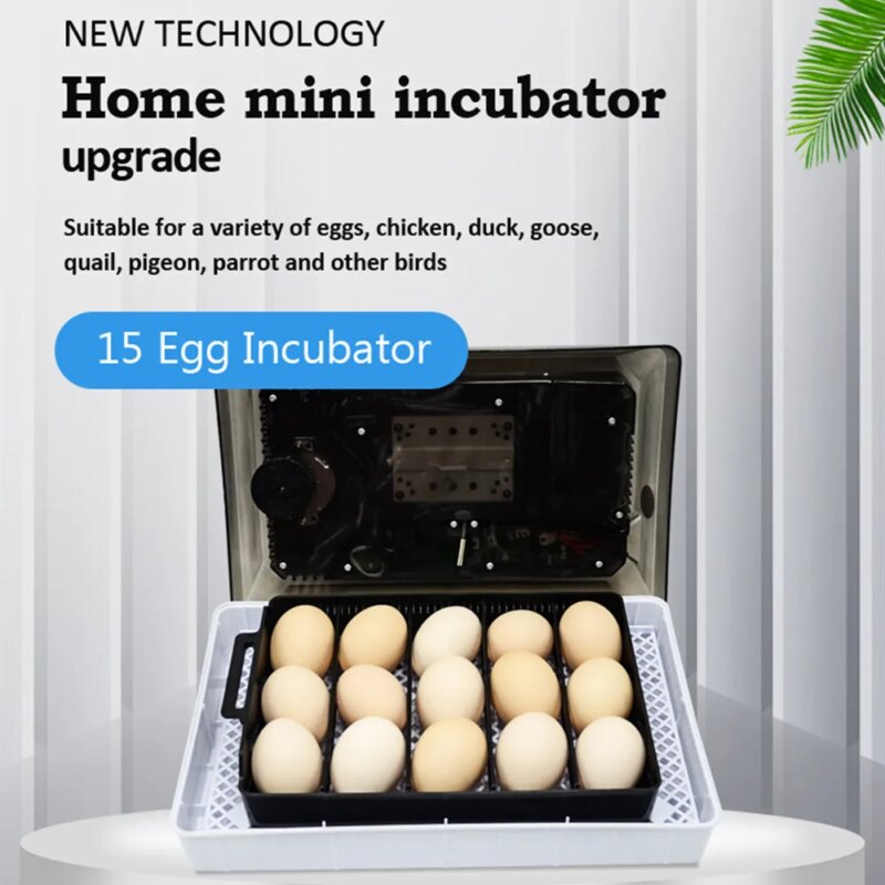 Mini incubateur automatique 15 œufs avec contrôle numérique de température – Image 3