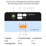 Mini incubateur automatique 15 œufs avec contrôle numérique de température – Image 4