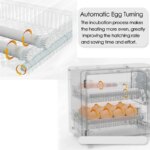 Incubateur automatique 24 œufs avec retournement, humidification et écran tactile – Image 3